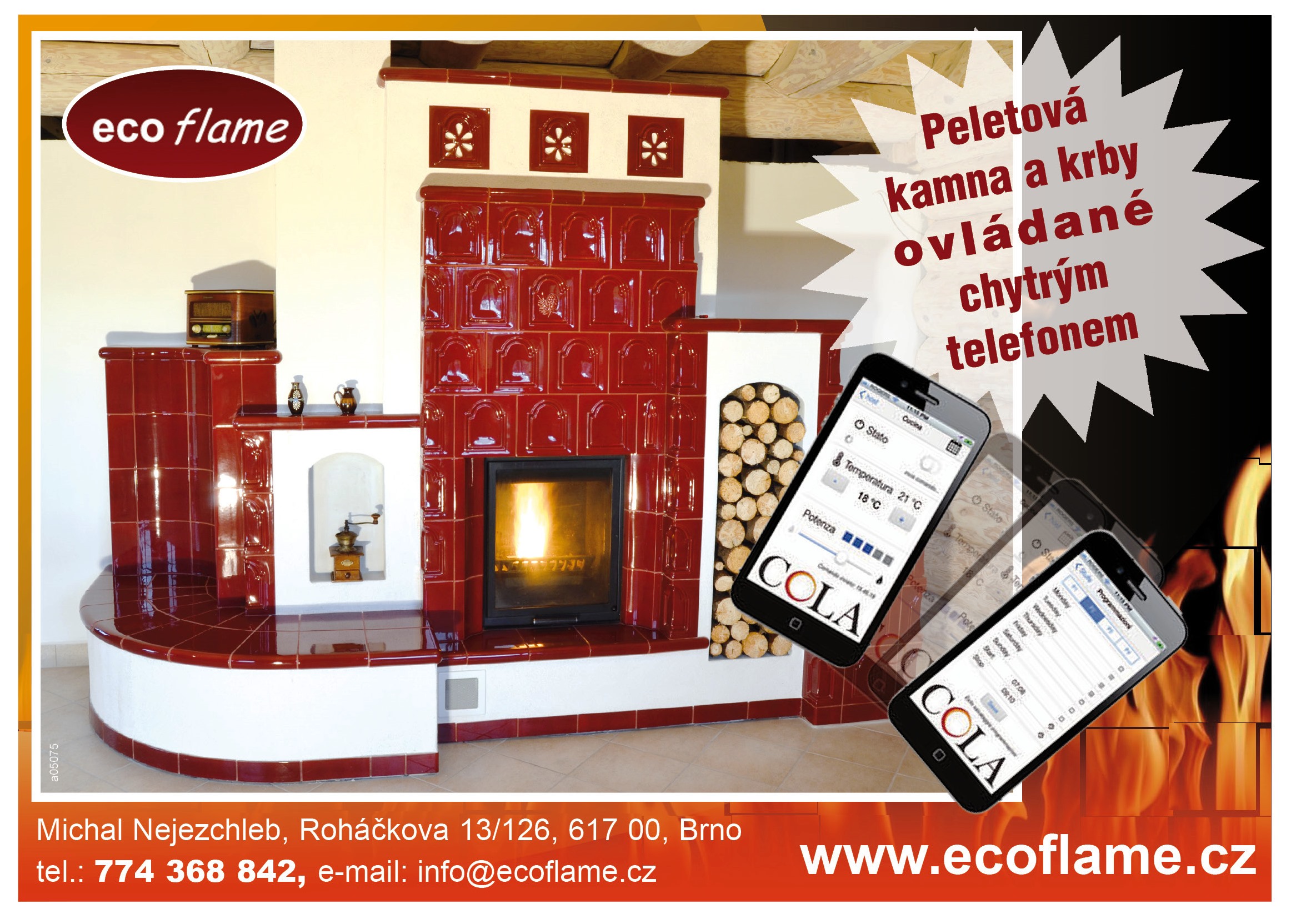 Ecoflame foto 2