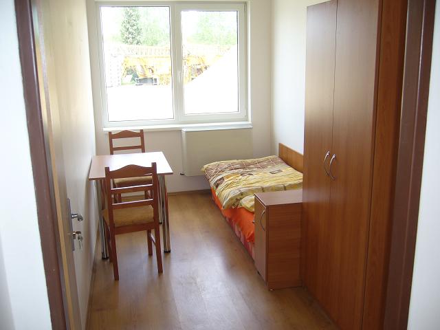 ŽLUTÁ SOVA foto 2