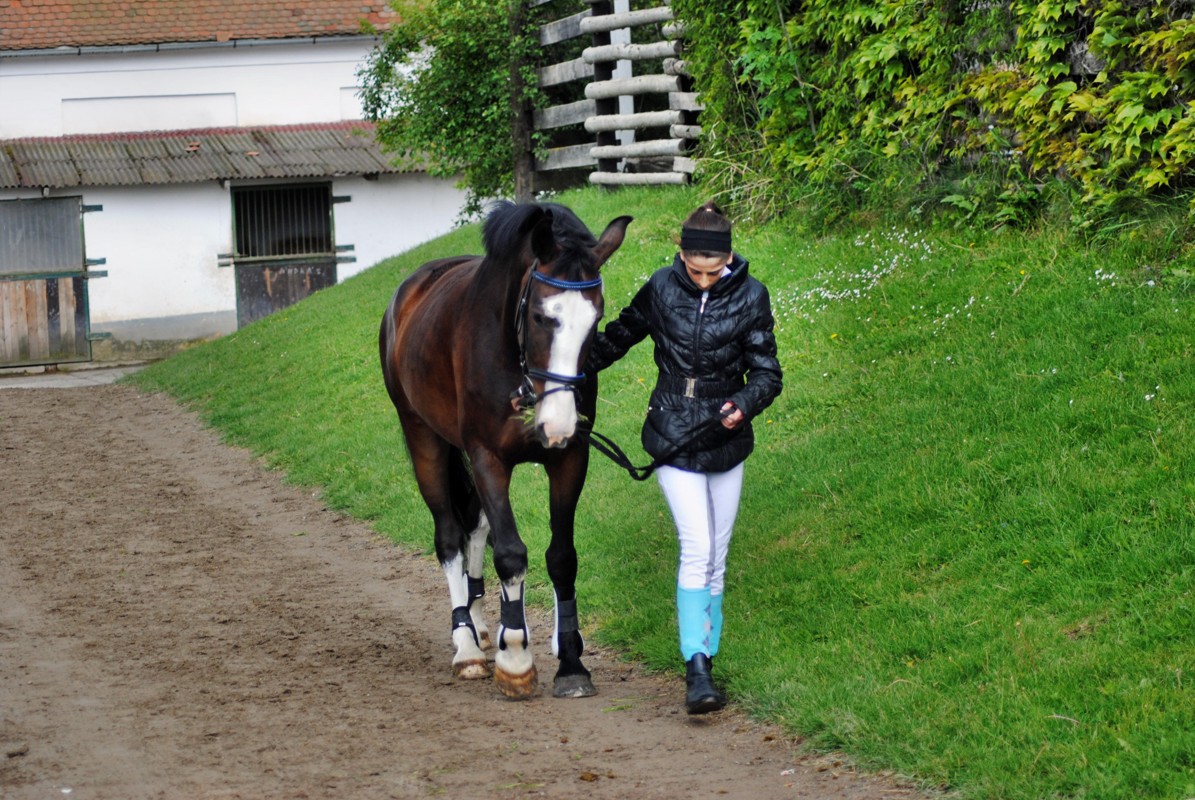 Sportovní stáj Svobodová foto 4