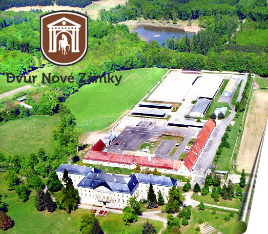 Dvůr Nové Zámky, spol. s r.o. foto 2