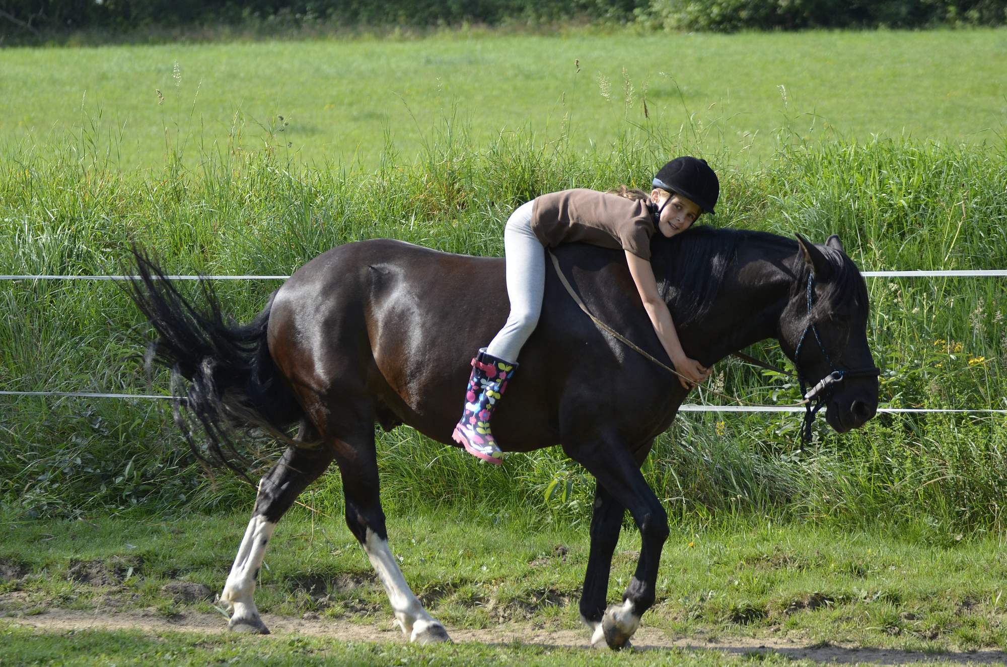 JEZDECKÝ KLUB LIPKA foto 3