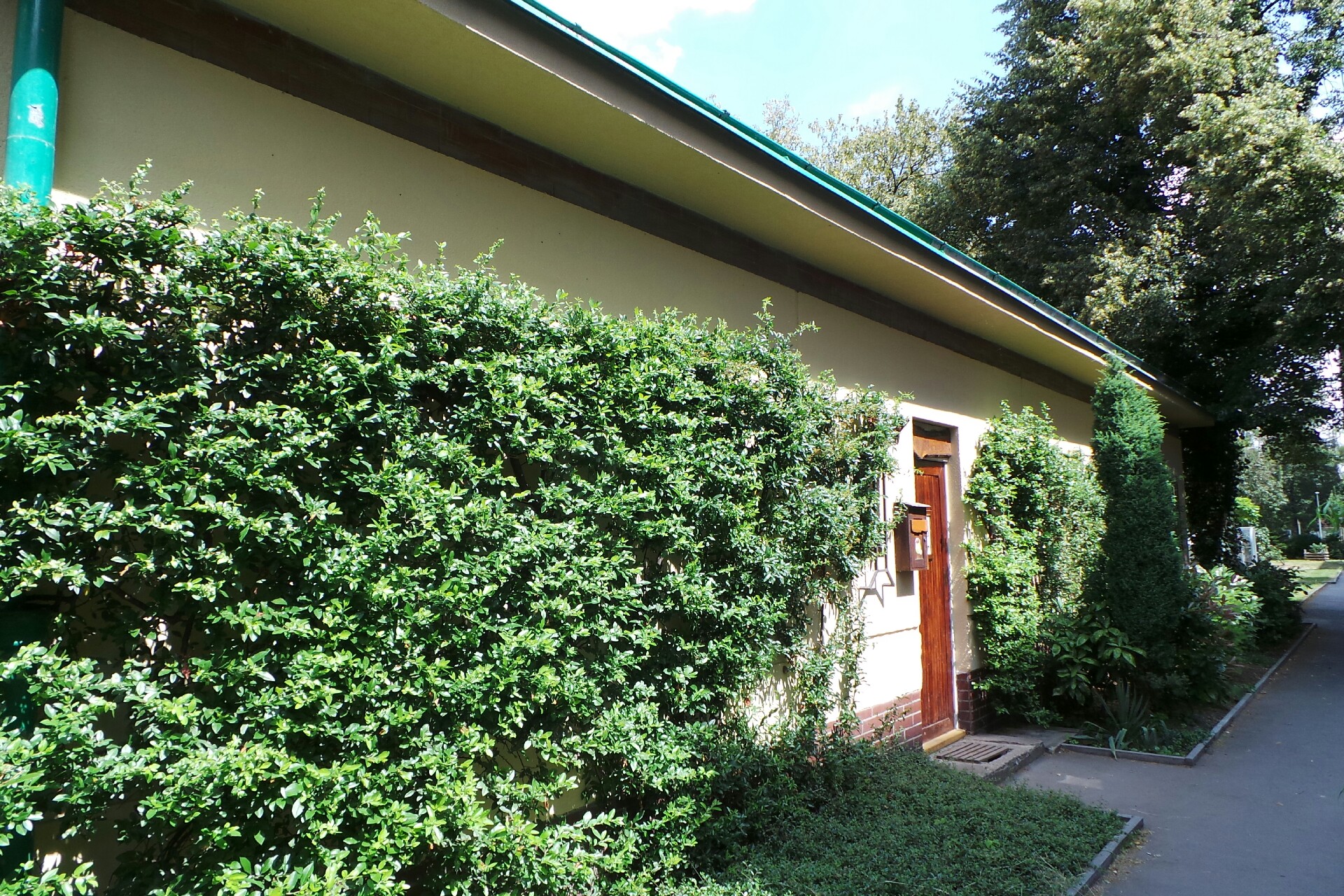 Junák - český skaut, středisko Bratří Mašínů Praha foto 4