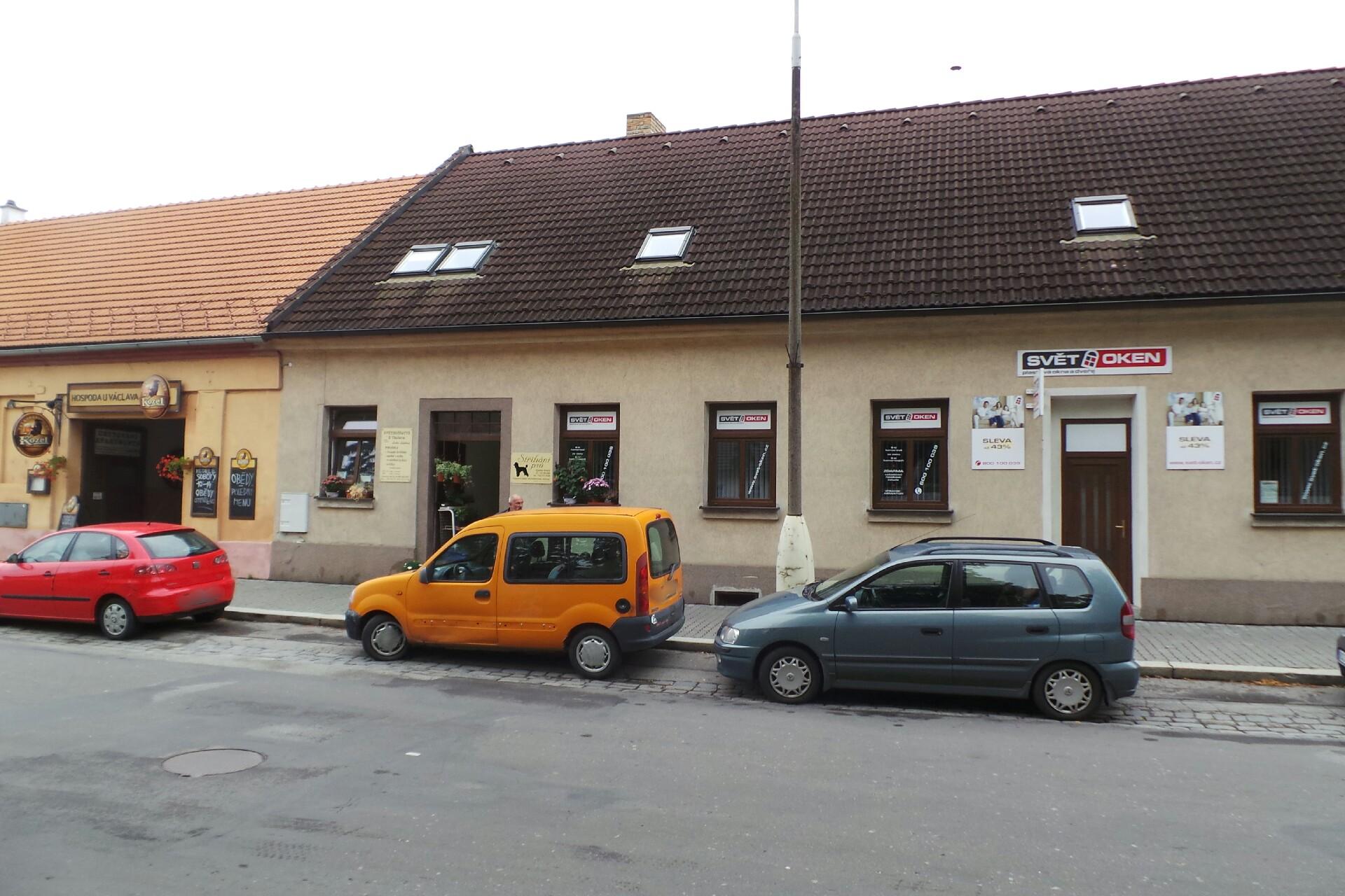 Stříhání psů - Zdeňka Smělá