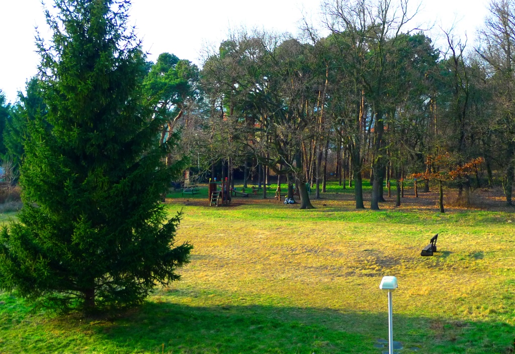 Soukromá Mateřská škola Pro Family - Čiperka foto 5