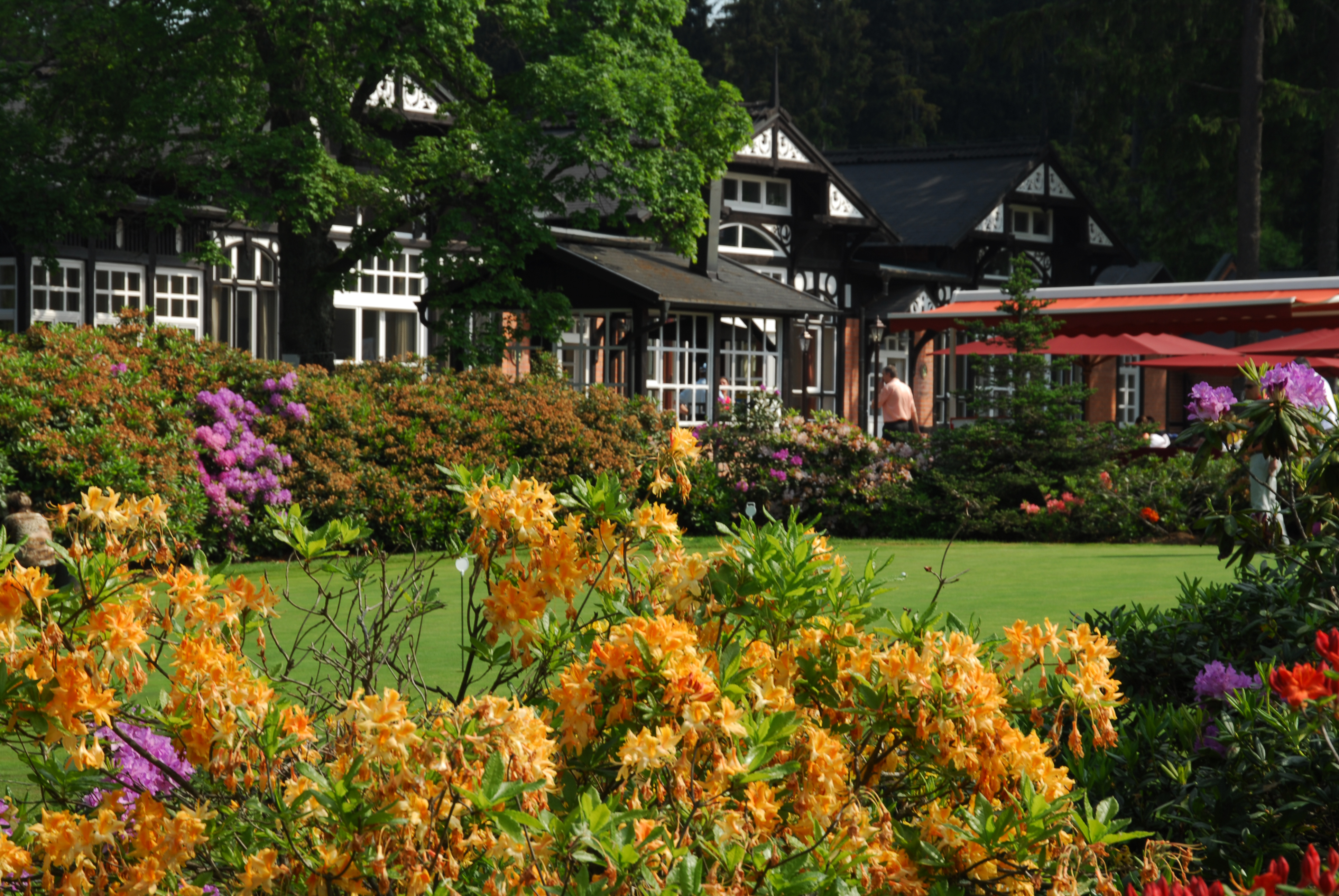 Royal Golf Club Mariánské Lázně foto 4