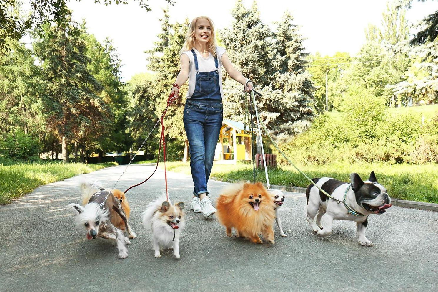 Psí hřiště a parky