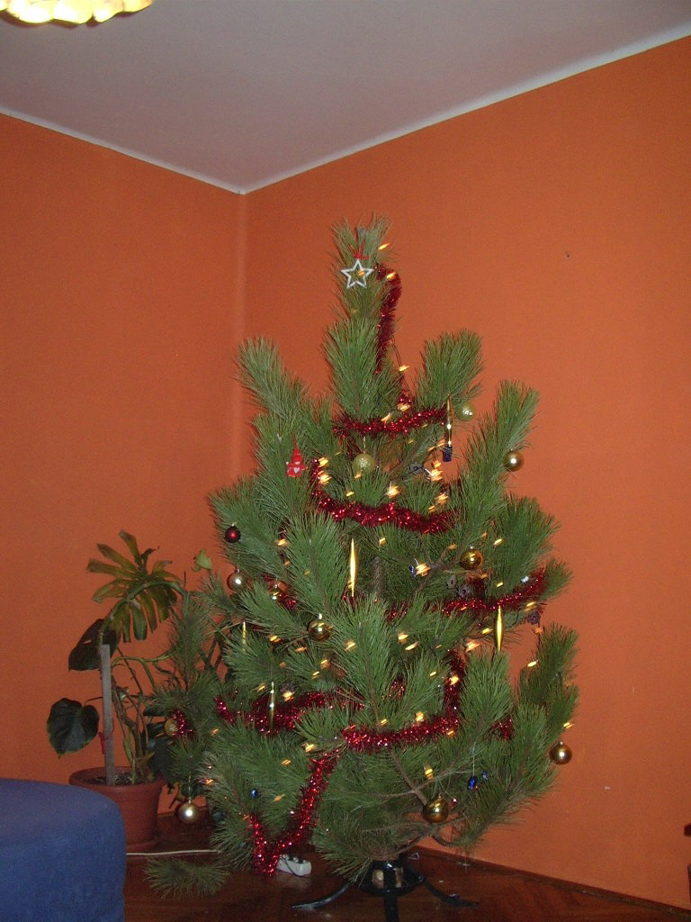 Roman Stupka foto 5