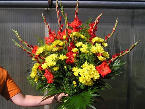 Zahradnictví Havlina foto 2