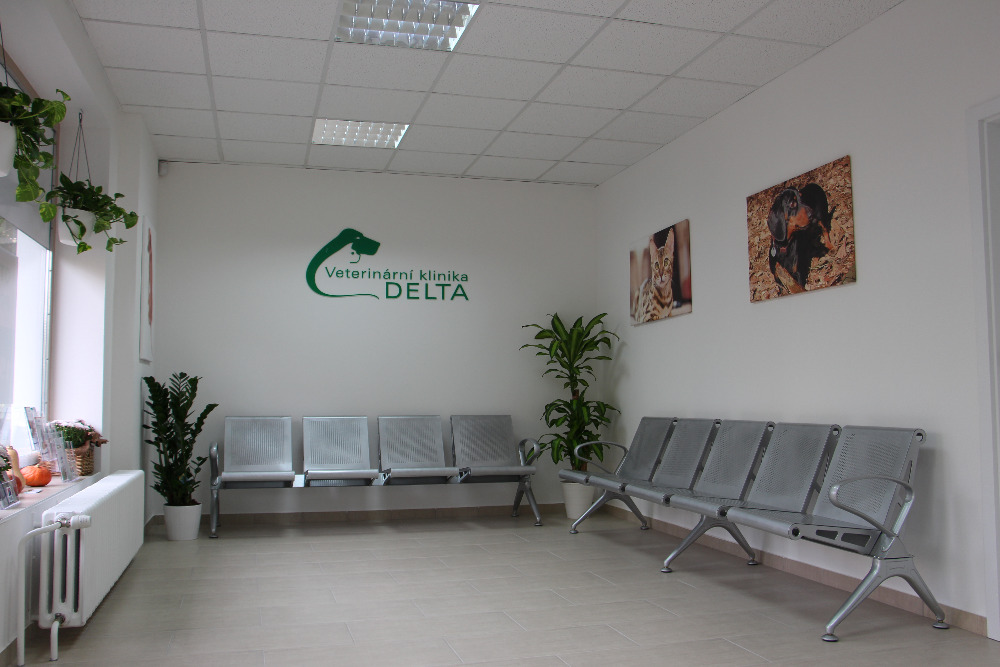 Veterinární klinika Delta MVDr.Michael Růžička, s.r.o. foto 2