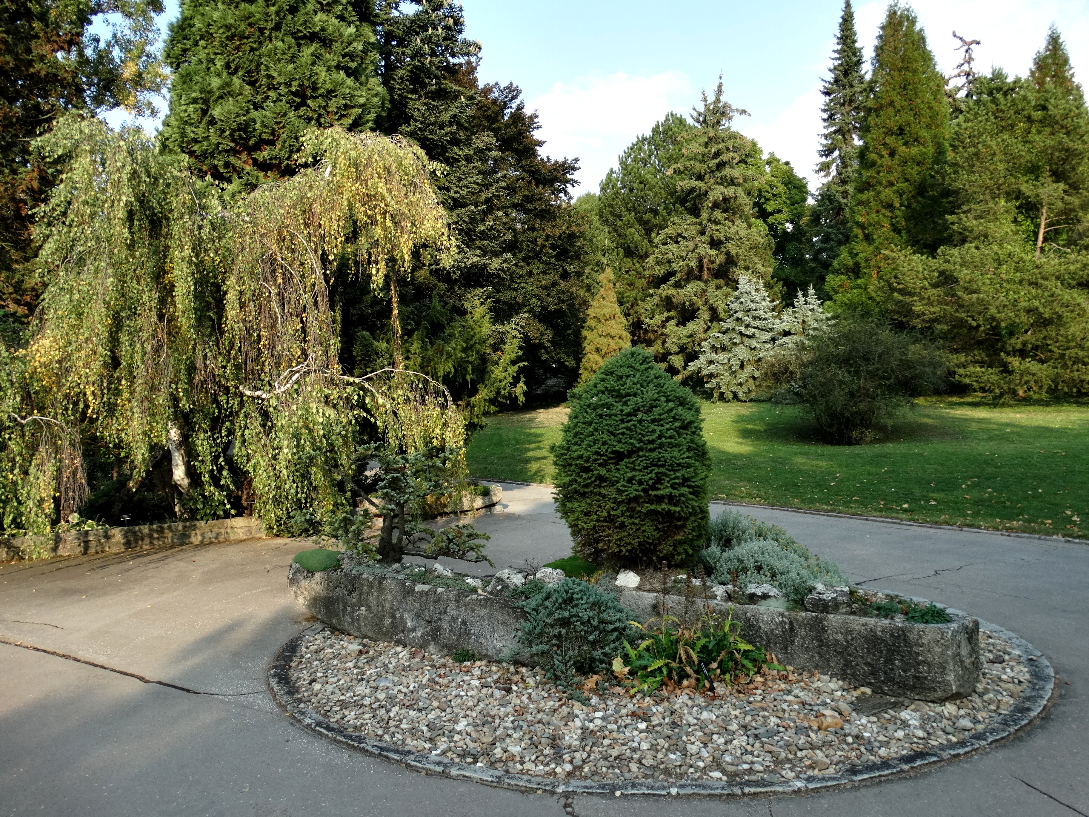 Mendelova univerzita v Brně - Botanická zahrada a arboretum foto 4