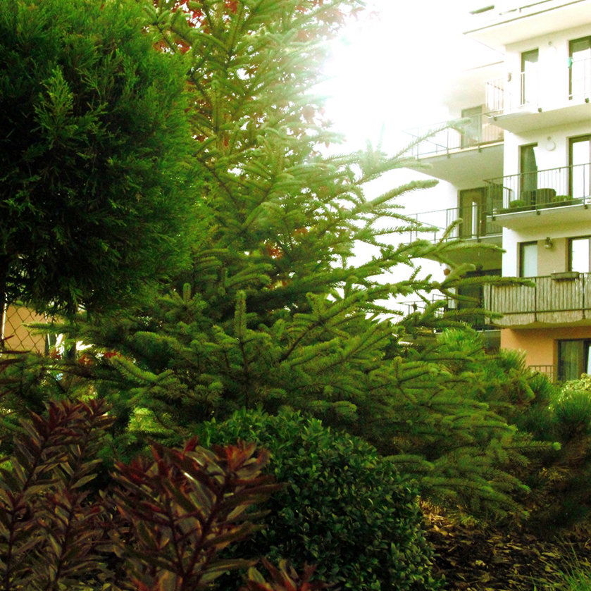 JSEM ZAHRADNIK foto 5