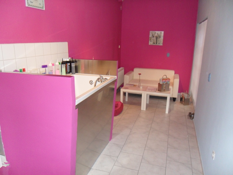 Salon Psí Sen foto 6