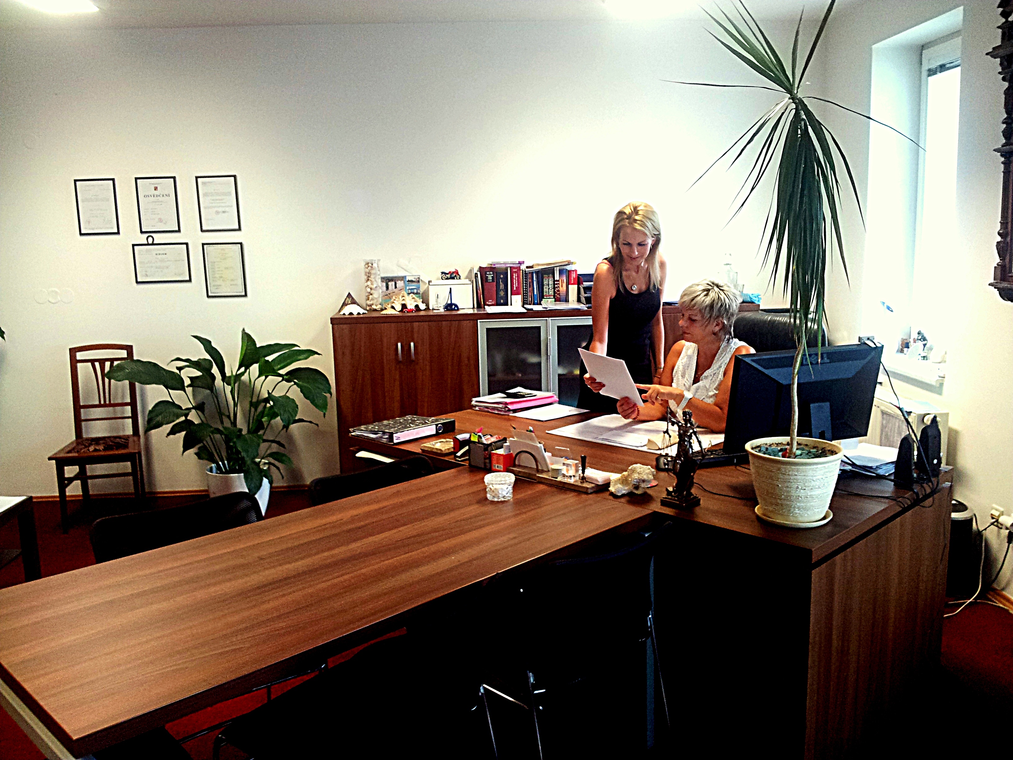 Růnová v.o.s. - Insolvenční správce foto 3