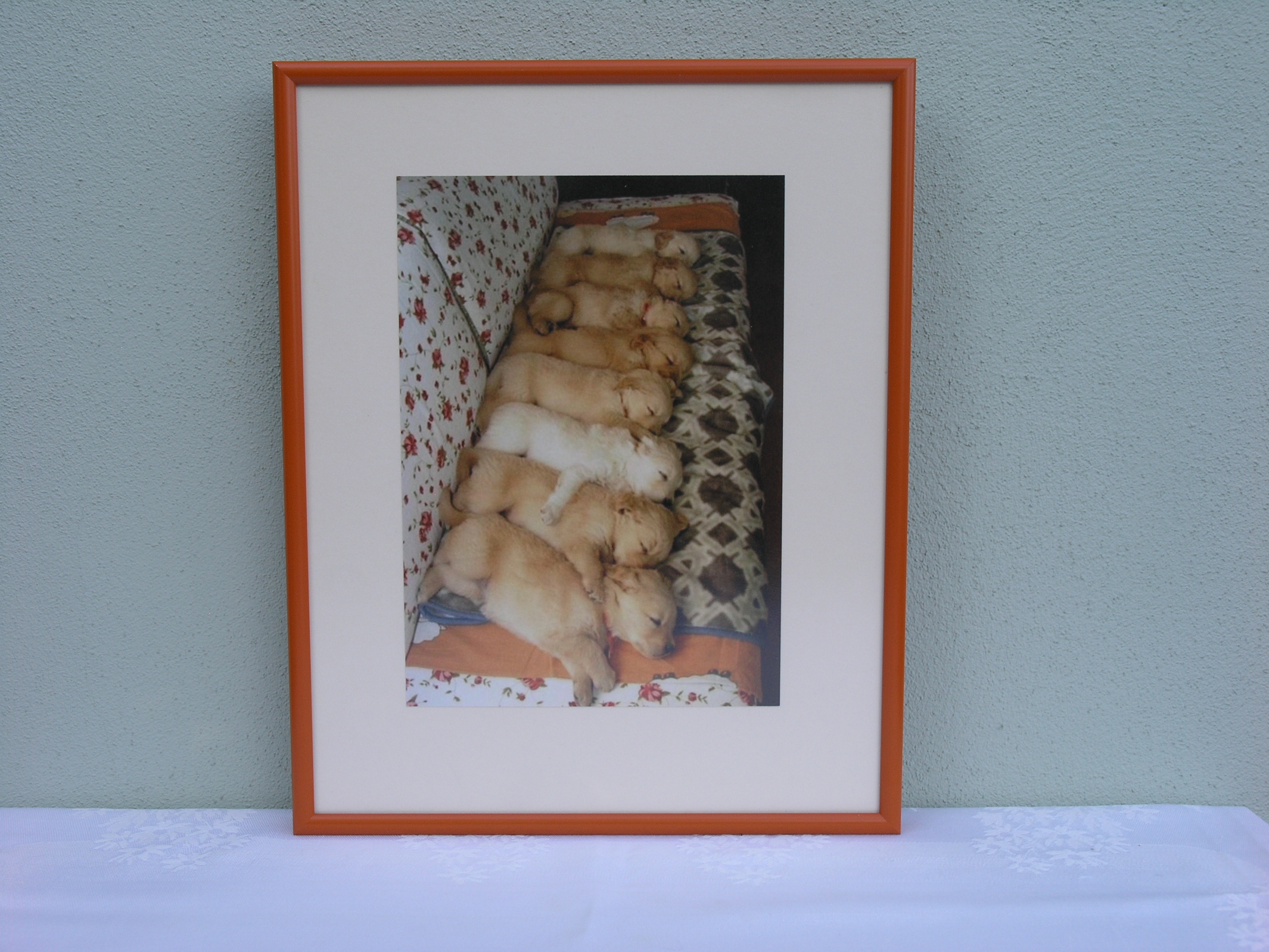 Rámování obrazů, paspartování - Soňa Wagnerová foto 3