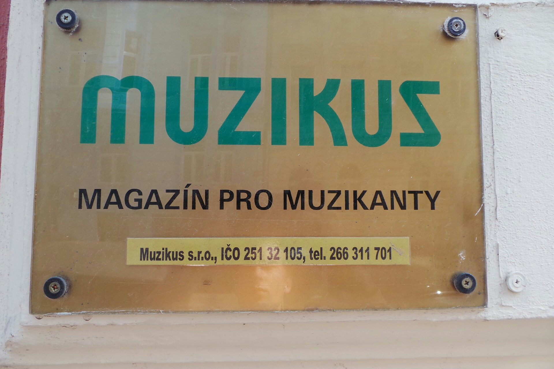 Muzikus foto 2