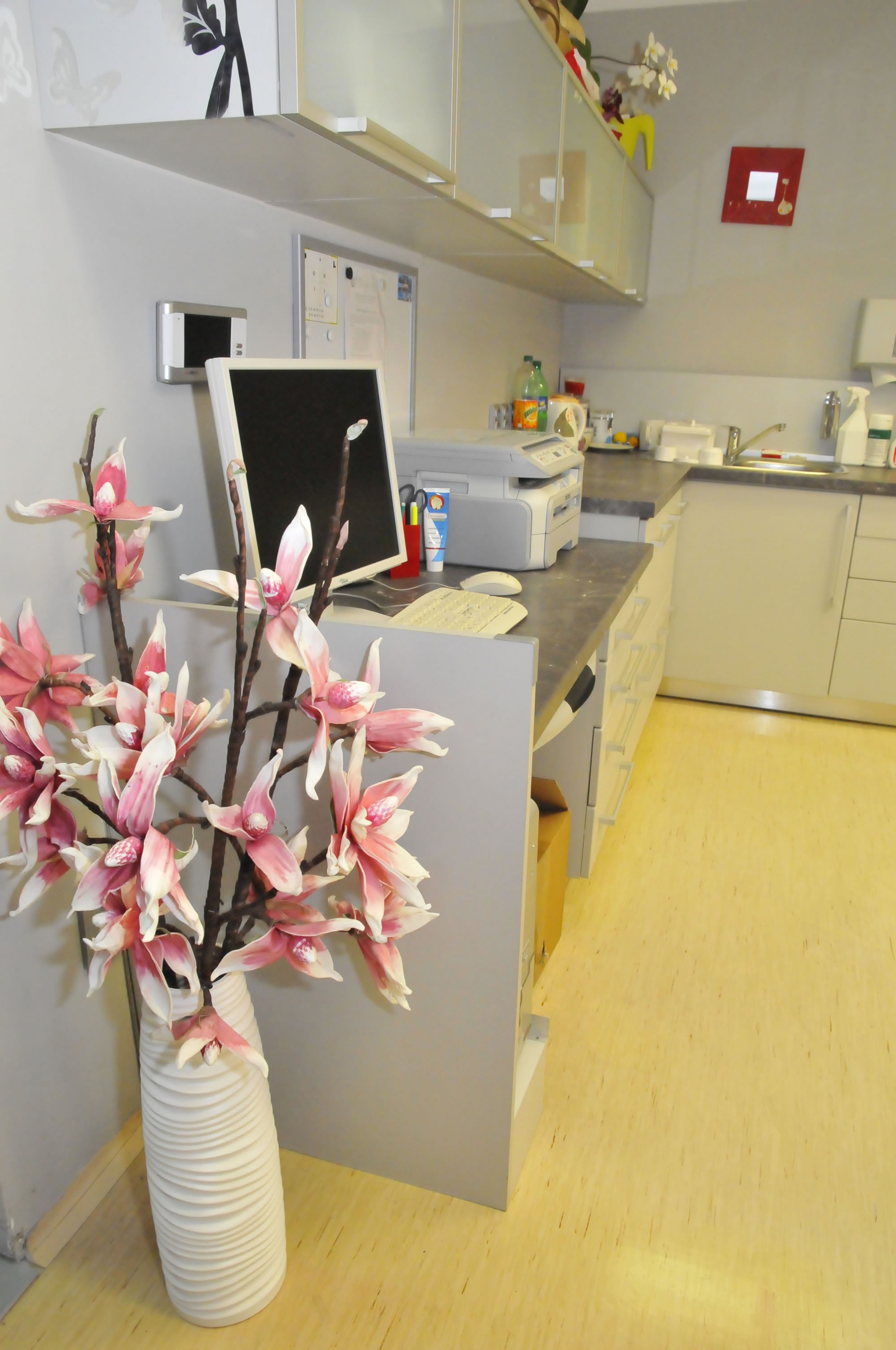 Velká ortodoncie - MUDr. Barbora Velká foto 3