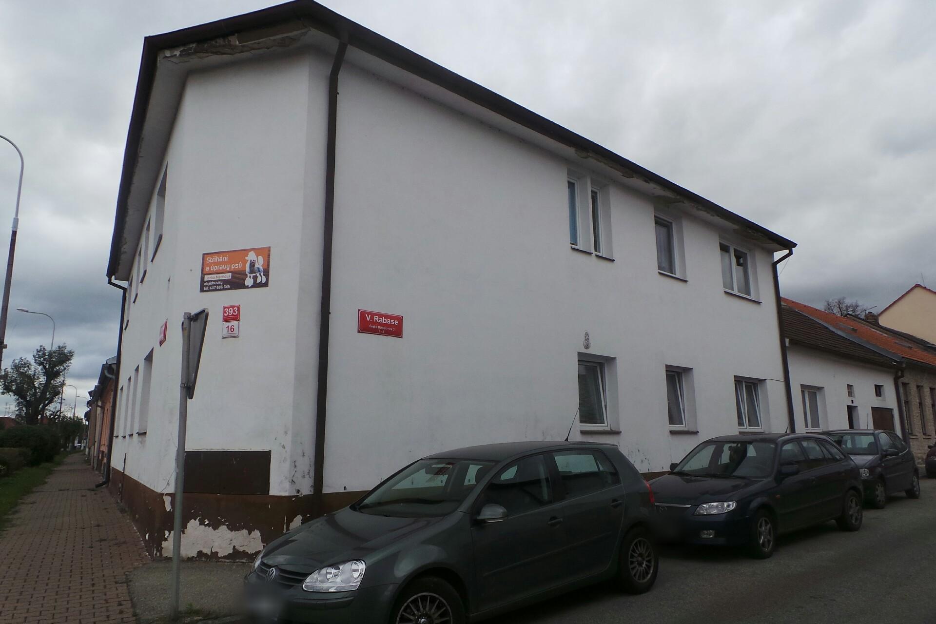 Stříhání psů Lenka Máchová