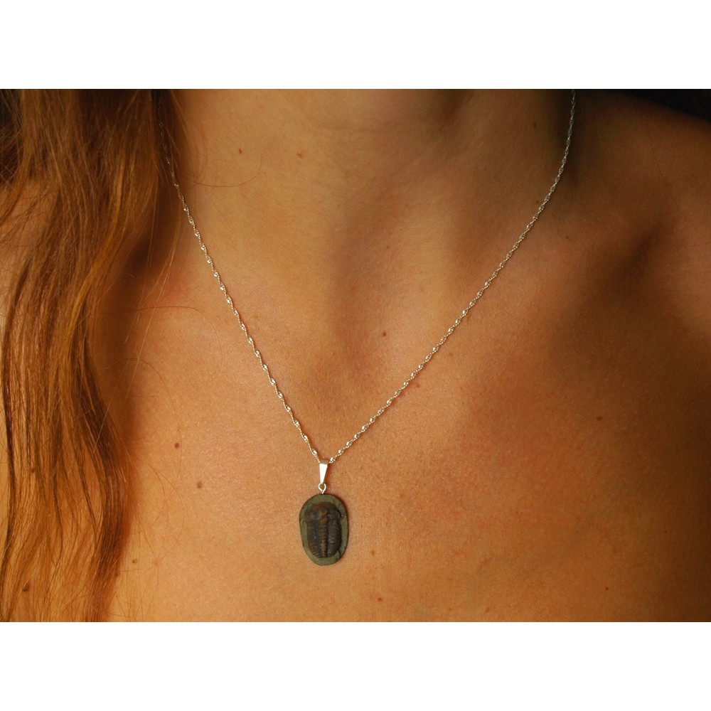 Czechfossilsandminerals.com foto 3