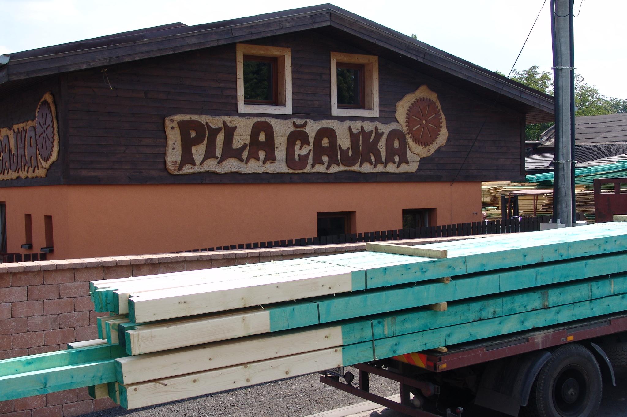 Pila Čajka