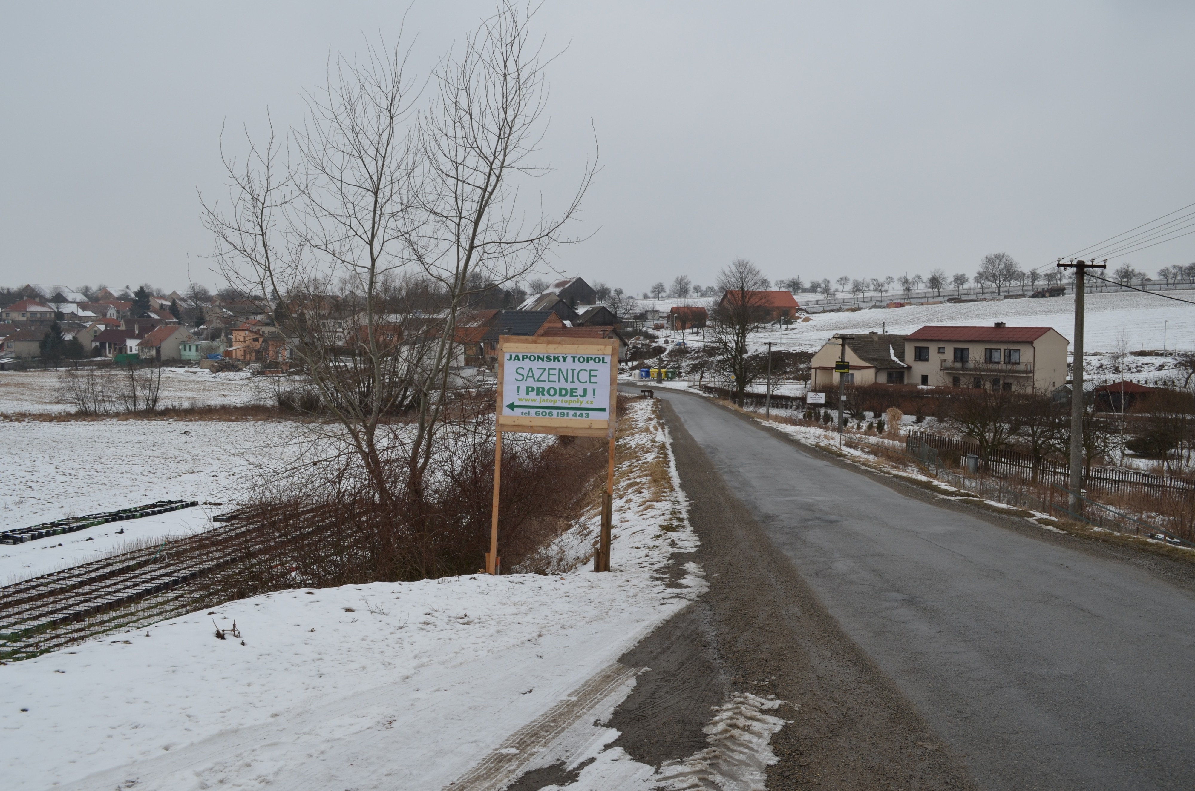 Jatop-topoly.cz foto 2