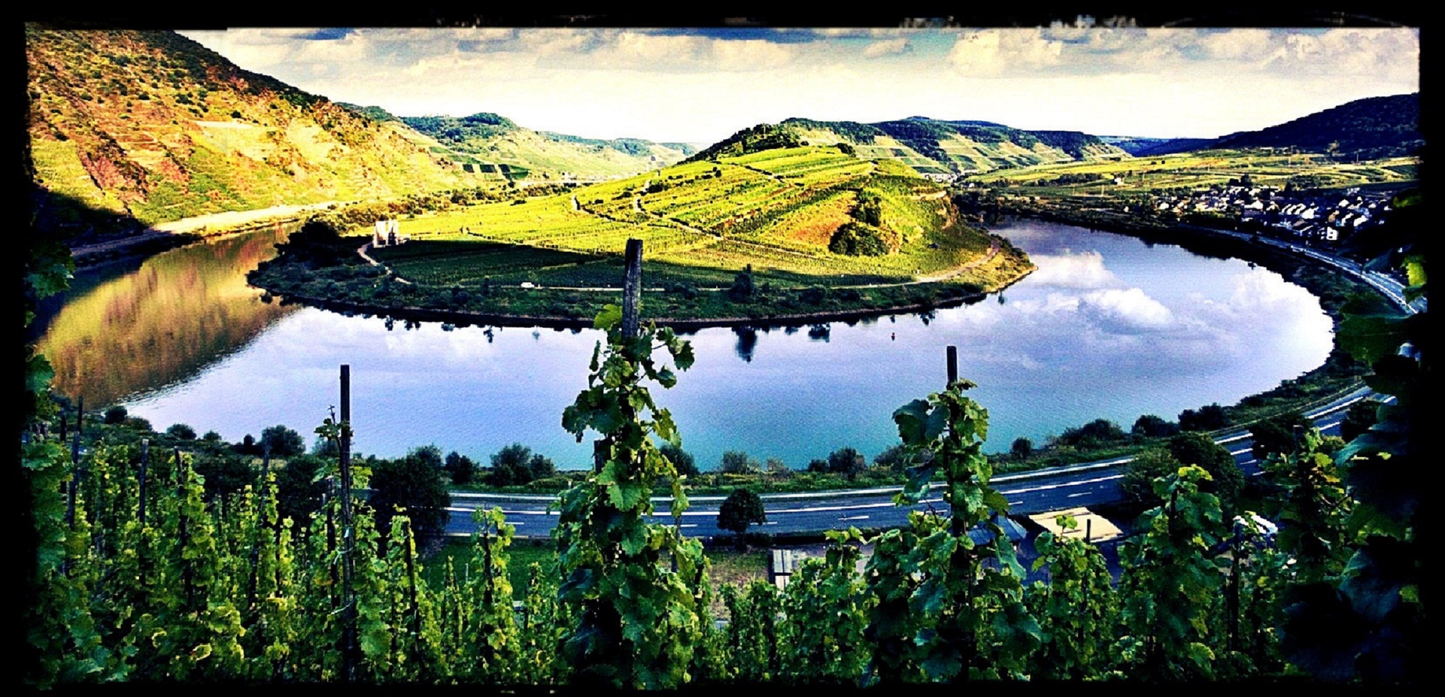 Vino-mosela.cz foto 2