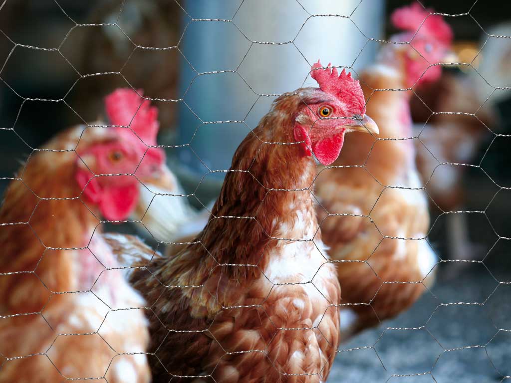 PILECKÝ s.r.o. foto 4