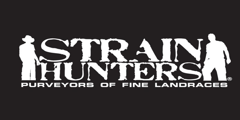 MedicalSeeds.cz foto 3