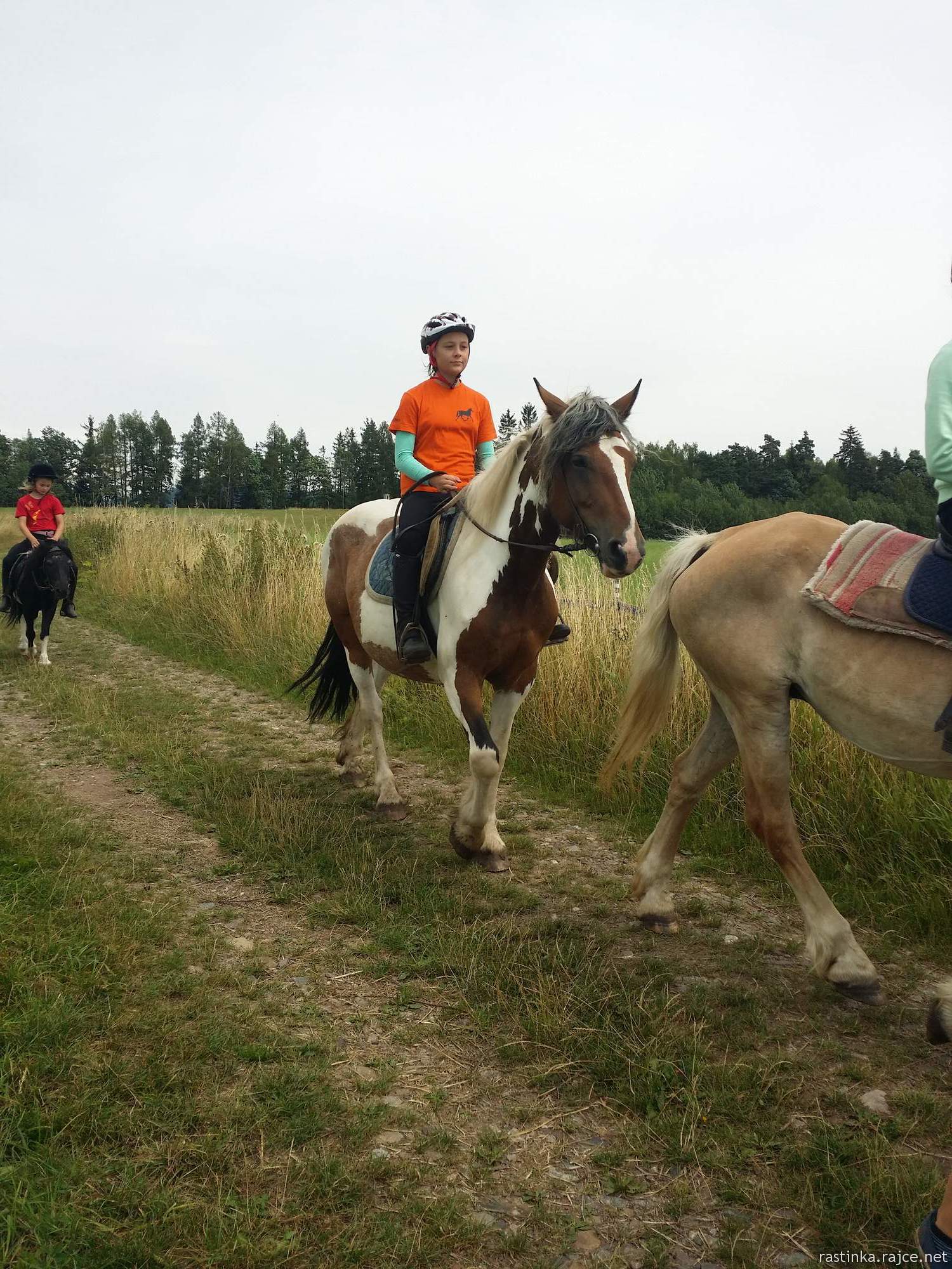 Farma Turov foto 6