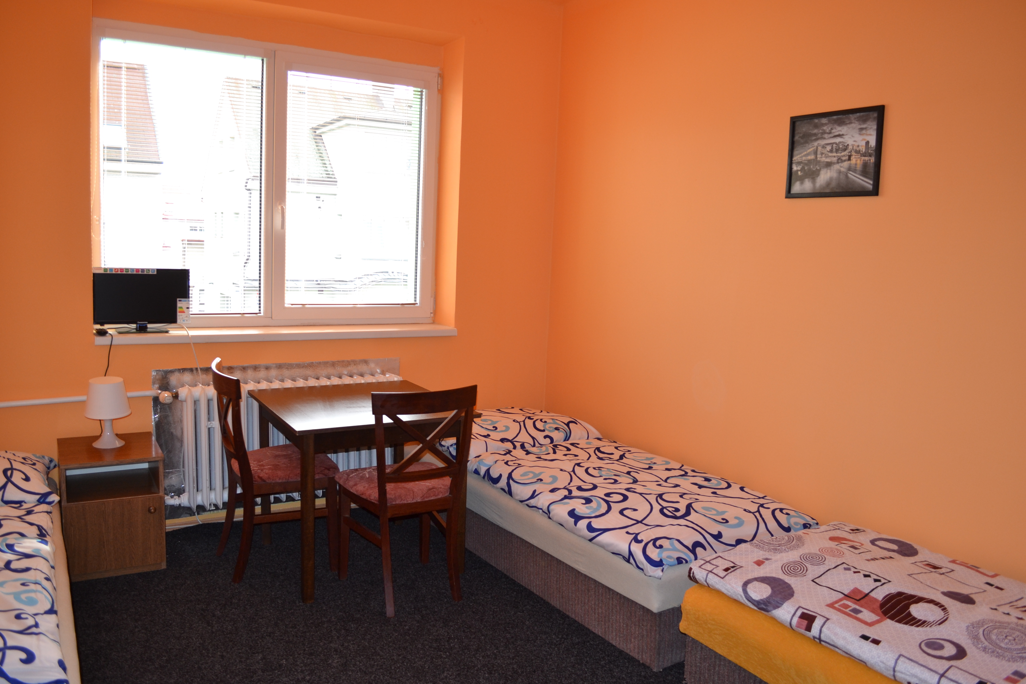 HOSTEL VILLA GREEN foto 5