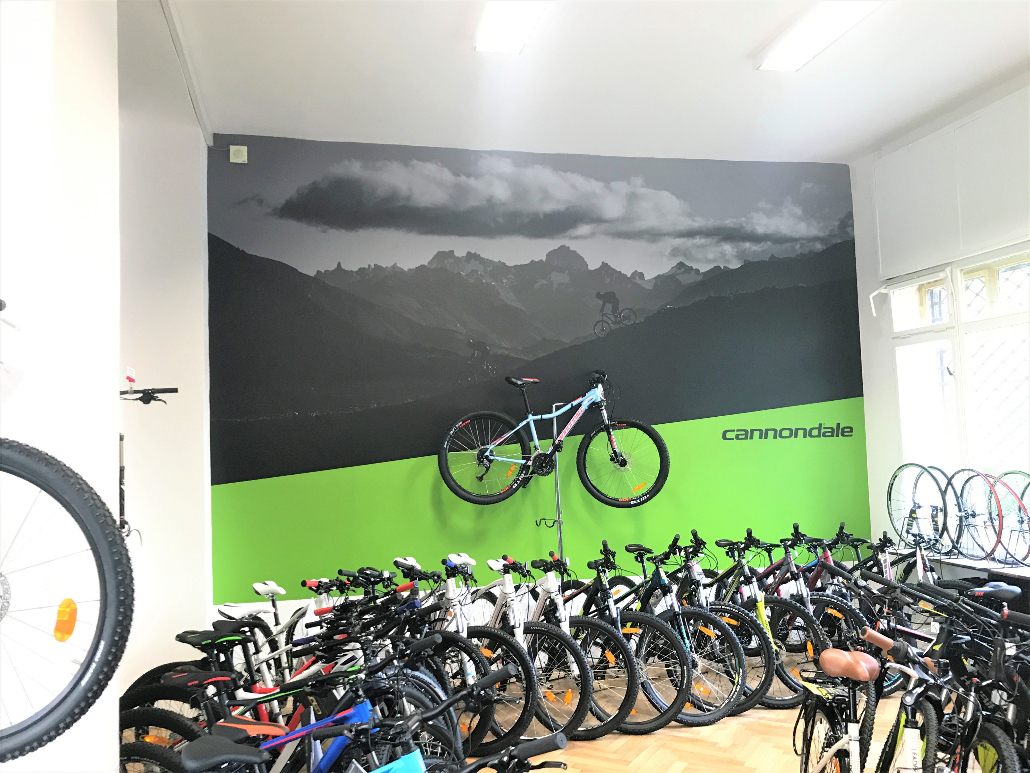 Jízdní kola Ramala foto 6