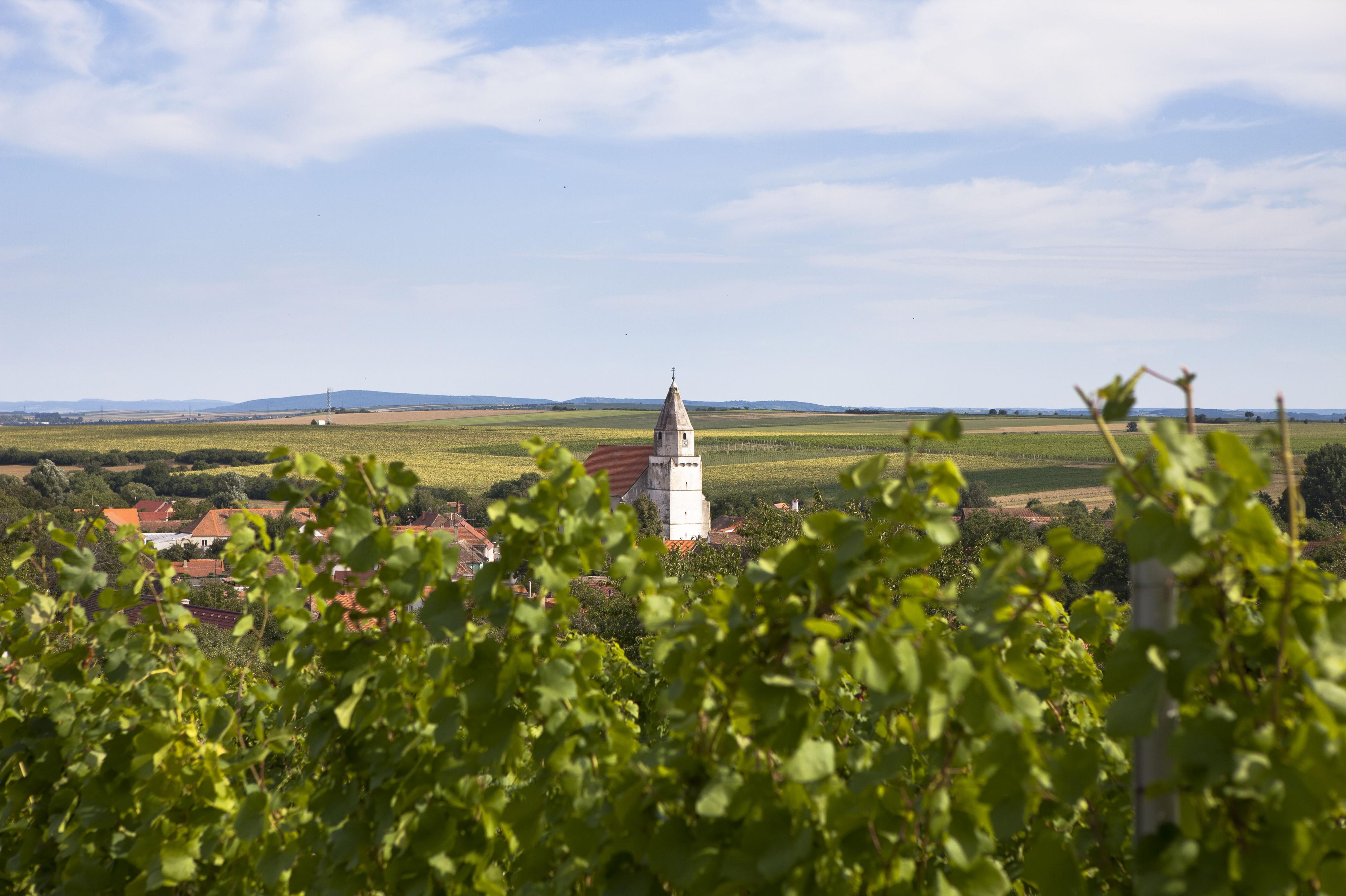 Vinařství Josef Kořínek