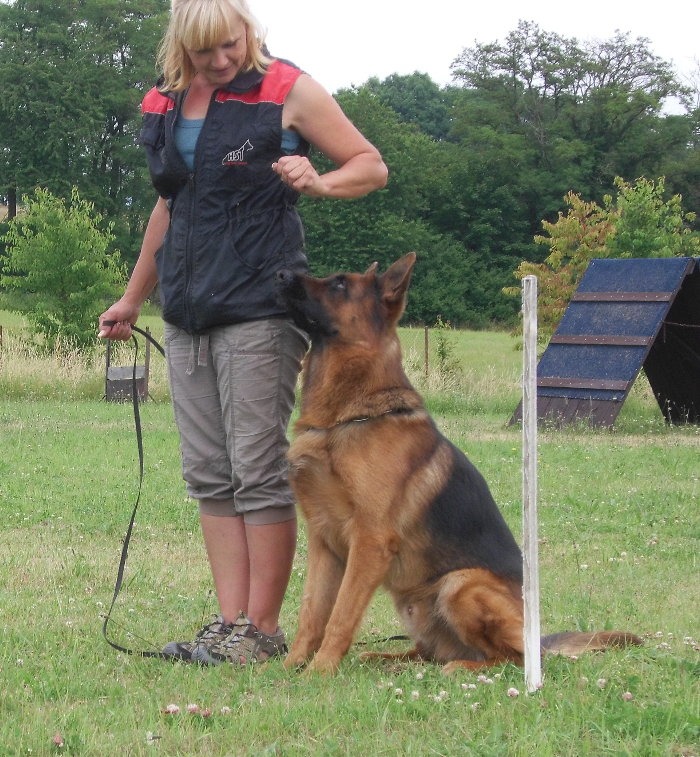 Hotel pro psy - Ing. Martina Helclová foto 3