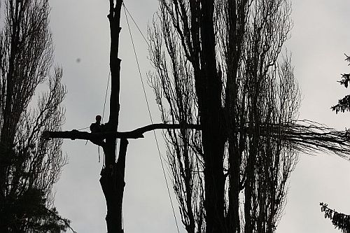 ORSUS - PRÁCE VE VÝŠKÁCH foto 3