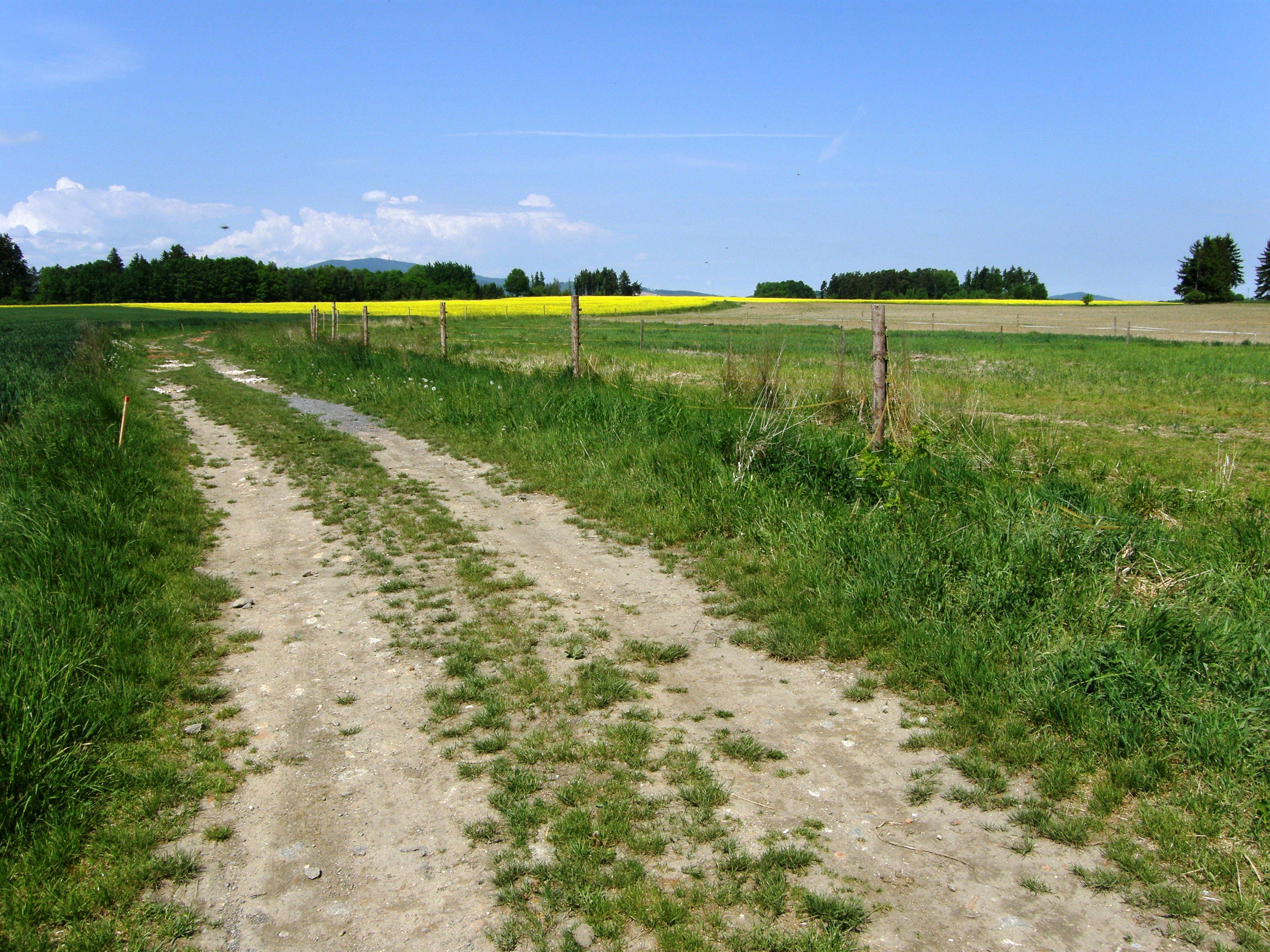 Sociální farma HORSE foto 4