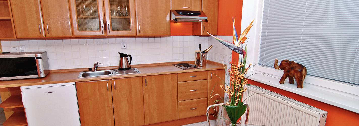 Apartmány Chodov foto 4
