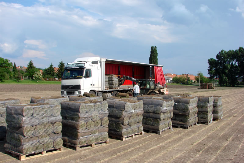 Ing. Jiří Vrbas - KVĚT - zahradní architektura foto 4