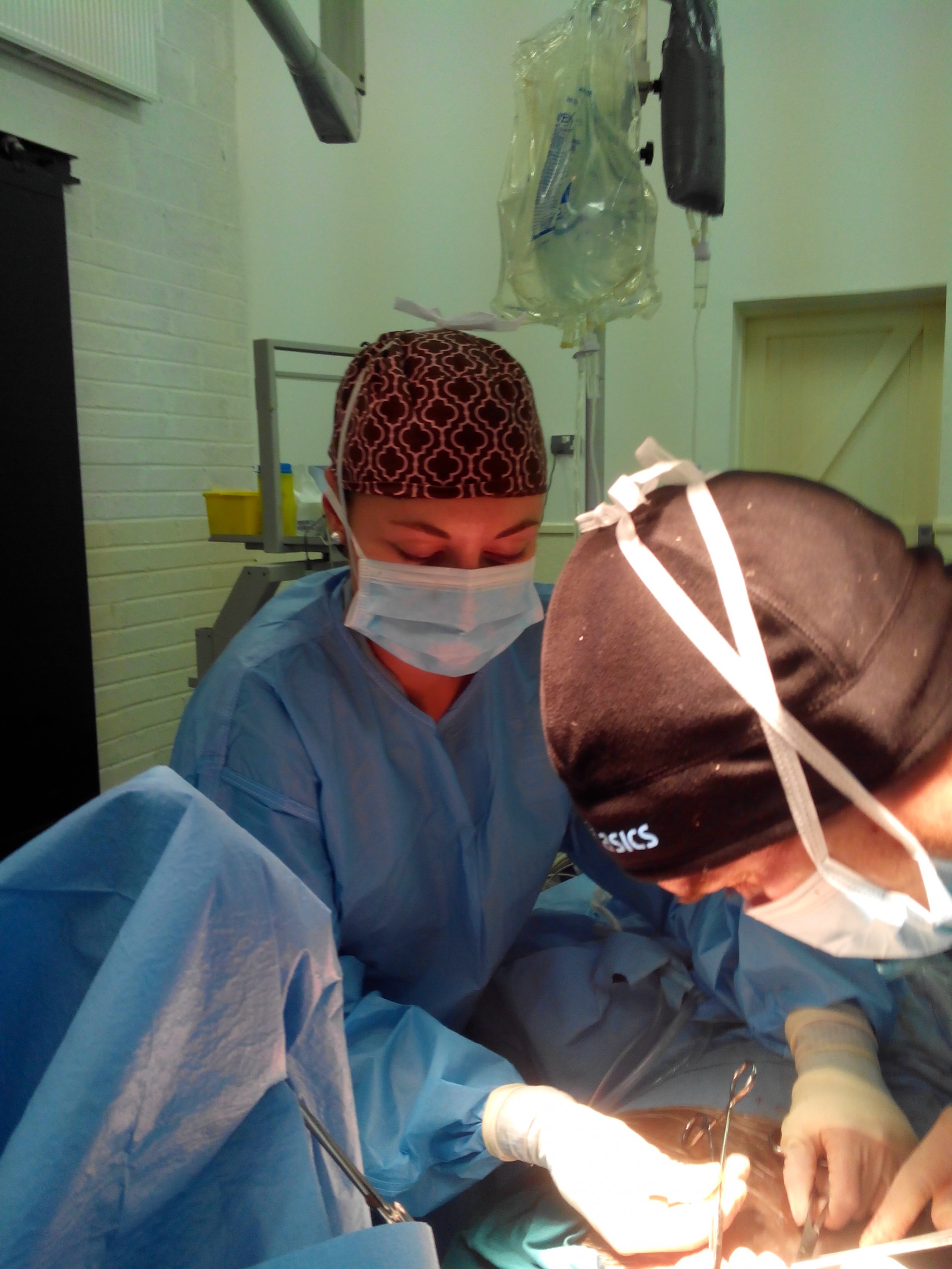 MVDr. Martina Vašíčková - veterinární výjezdová služba foto 3