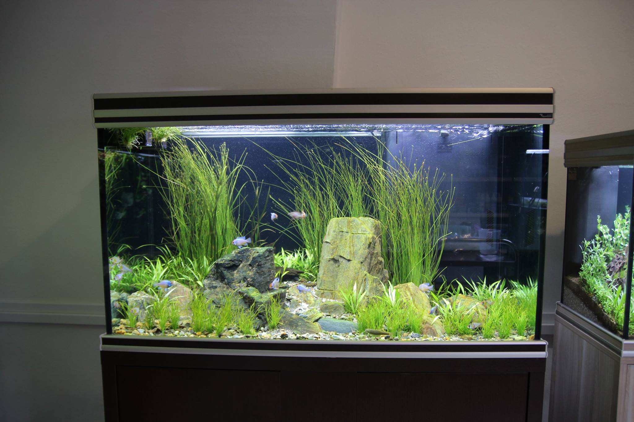 Akvazoo Rataj foto 3