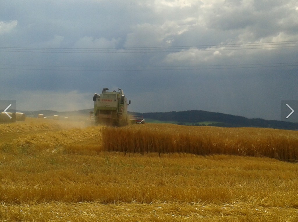 Zemědělské družstvo Netřebice foto 4