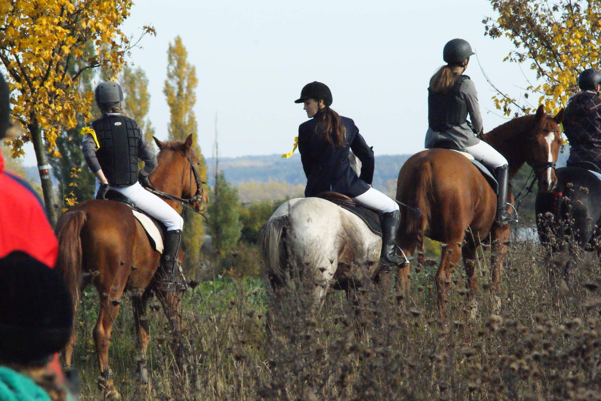Jezdecký klub Koloděje