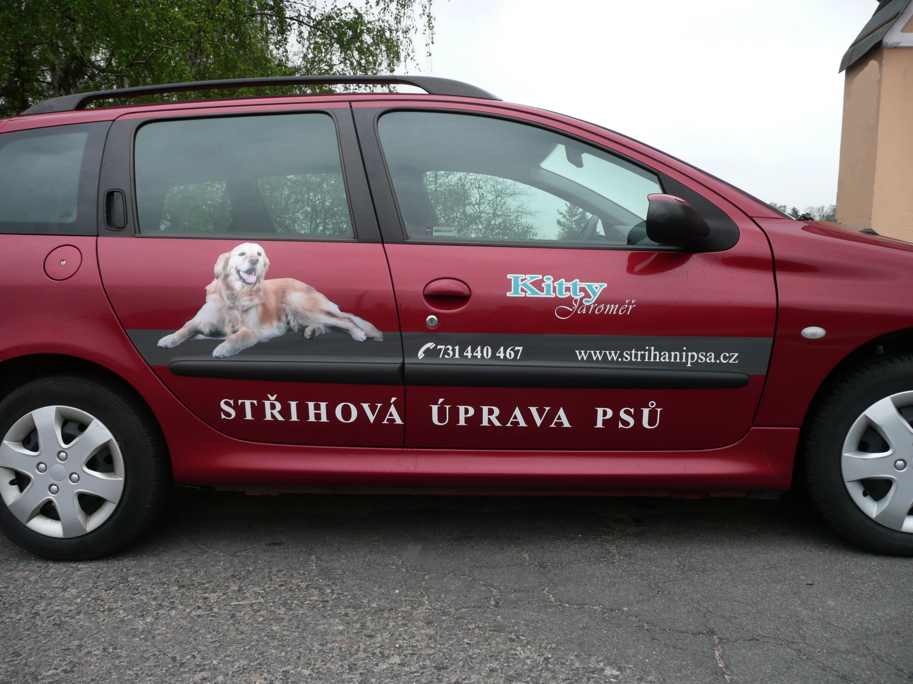 Ines Jetmarová foto 1