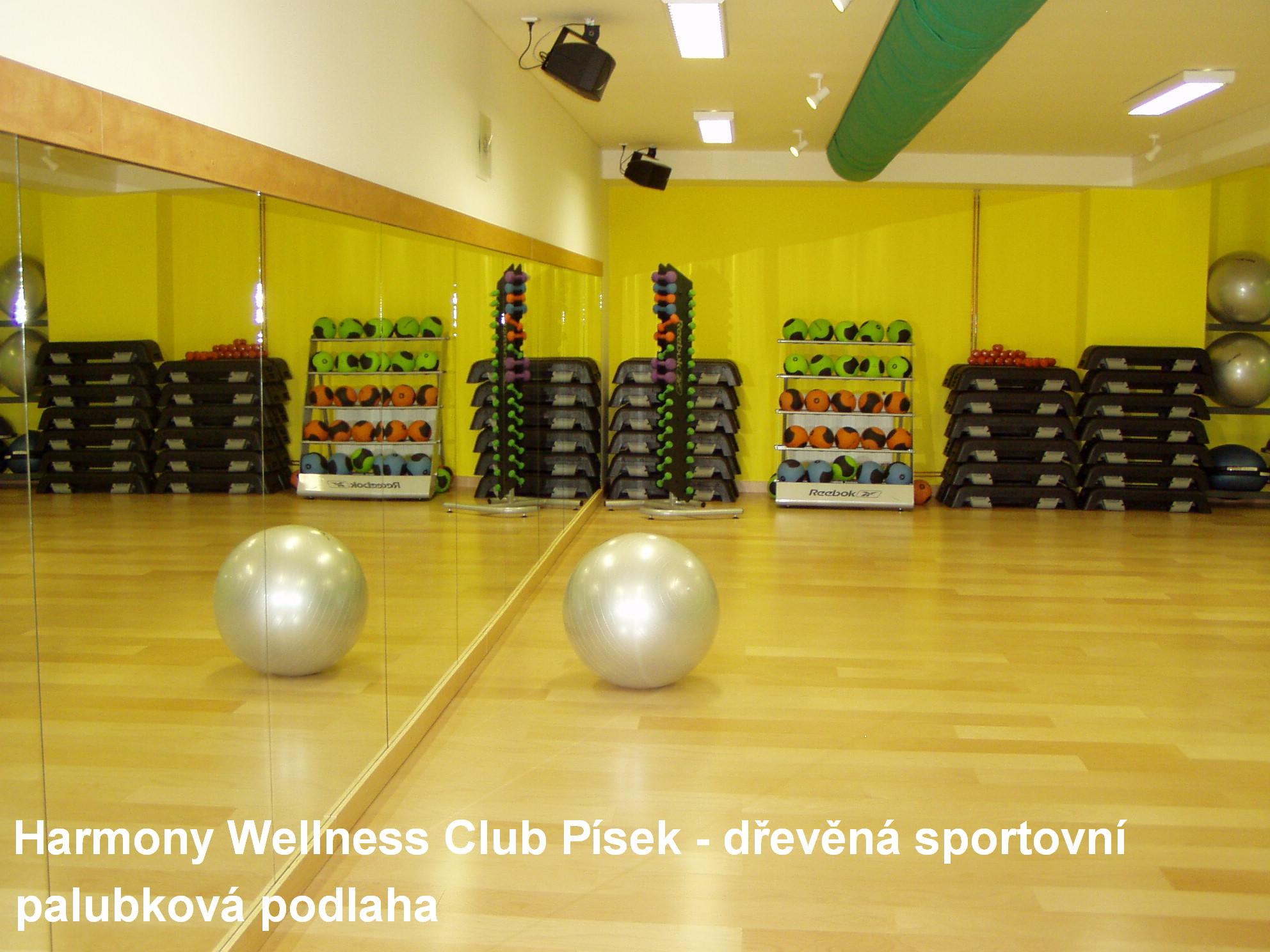 Dům podlah - Ing. Zdeněk Bíza foto 4