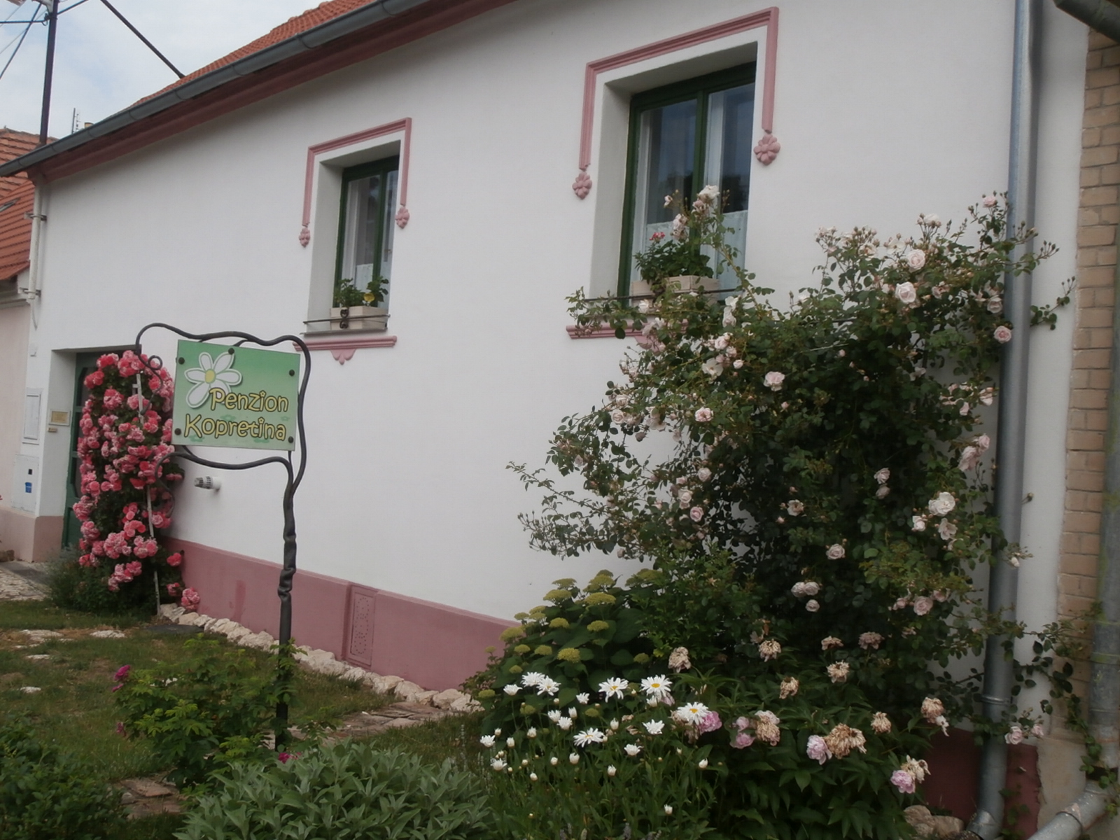 Penzion Kopretina foto 2