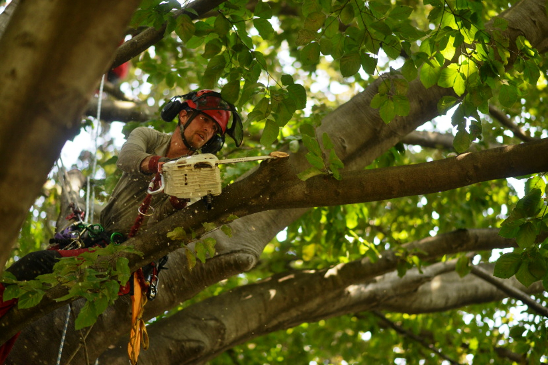 Kaceni Sarapatka s.r.o foto 3
