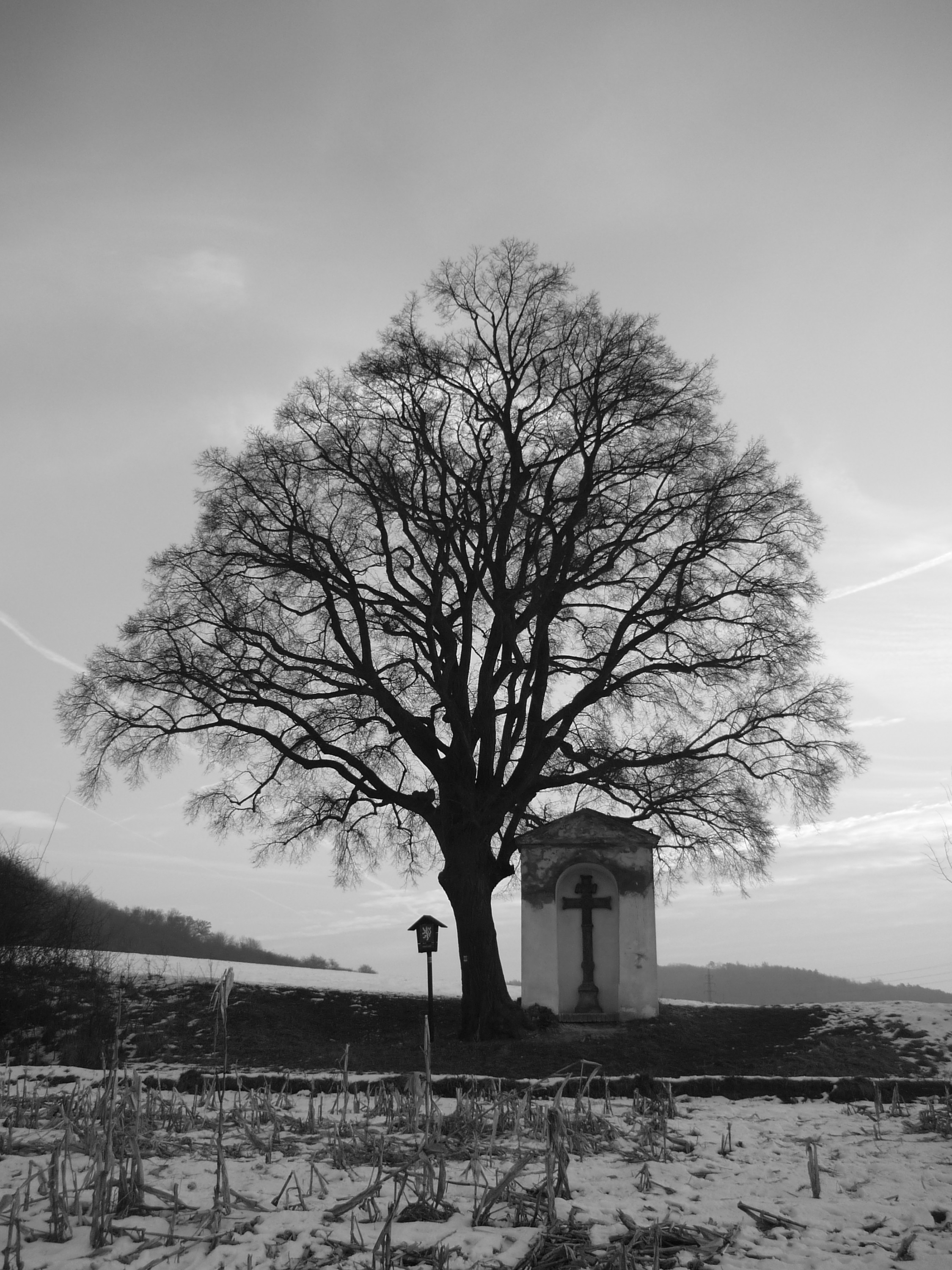 Martin Záruba - zahrady foto 2