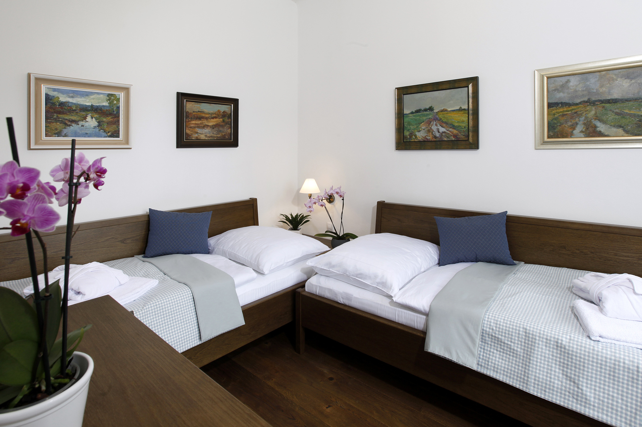Apartmány ŠUPINA foto 3