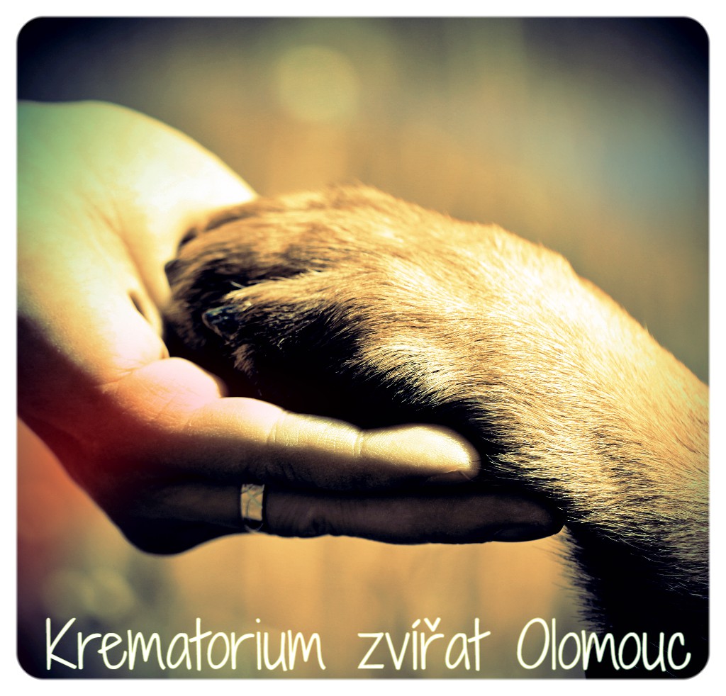 Krematorium zvířat Olomouc foto 2