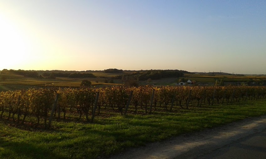 Benešovská cestovní agentura foto 3