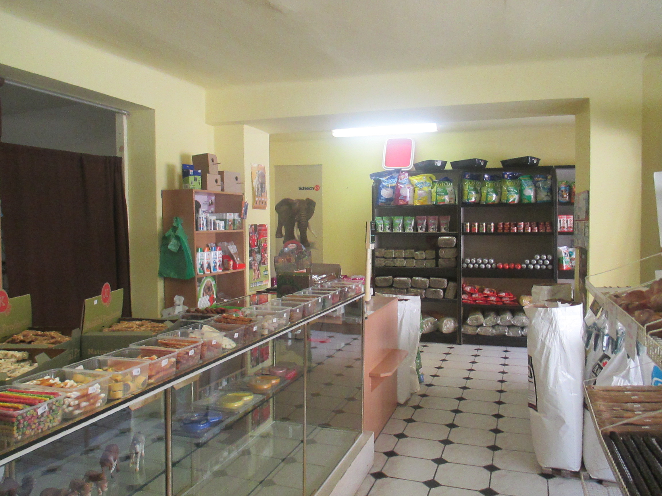 Zuzana Baxová foto 2