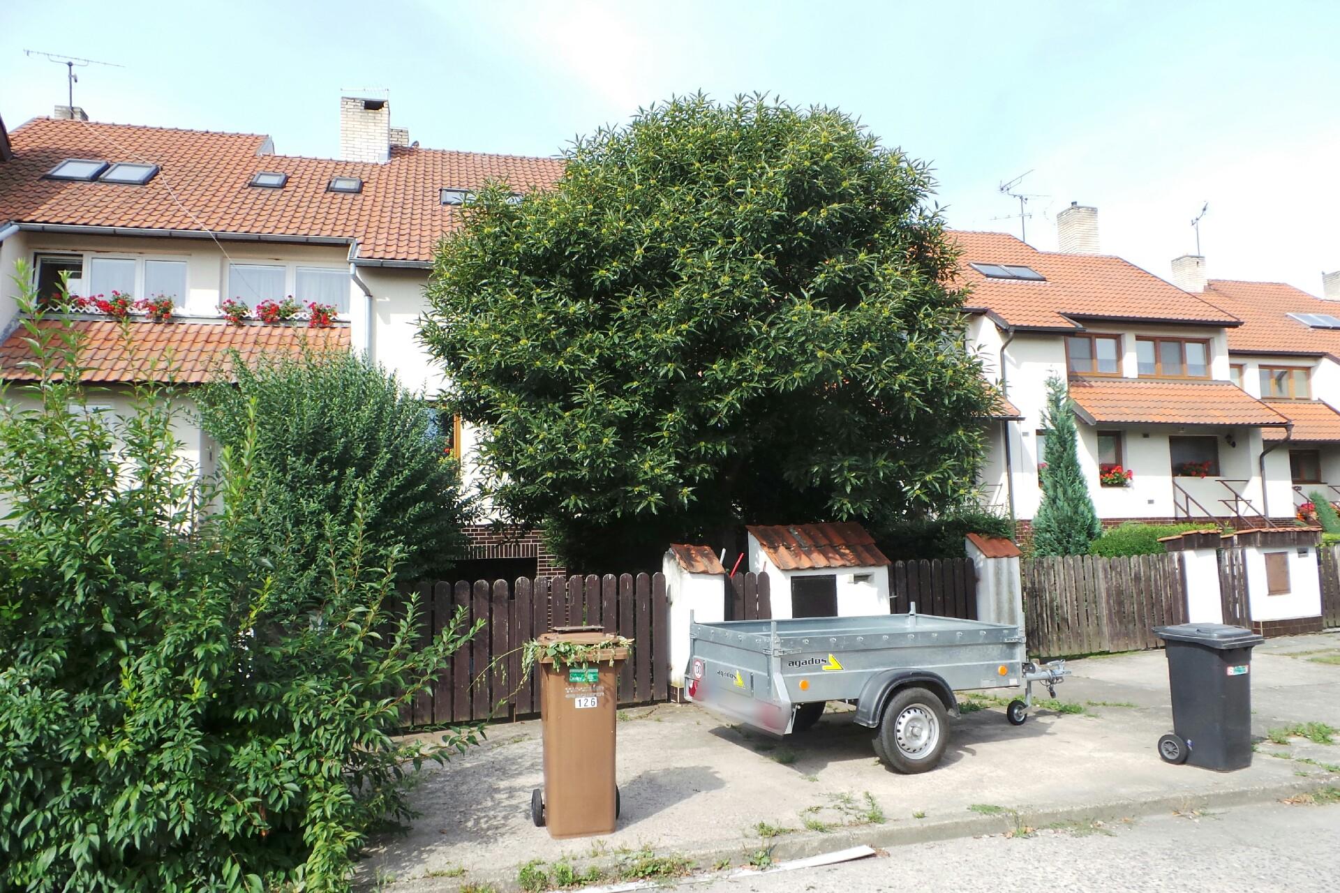 Propagace, reklama -  Danuše Marešová